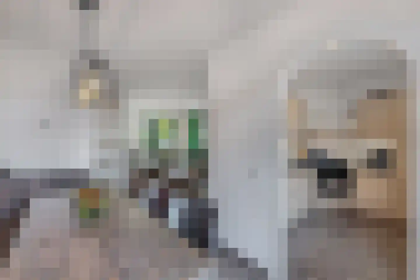 Domela Nieuwenhuisstrjitte 12 Boelenslaan thumbnail 23