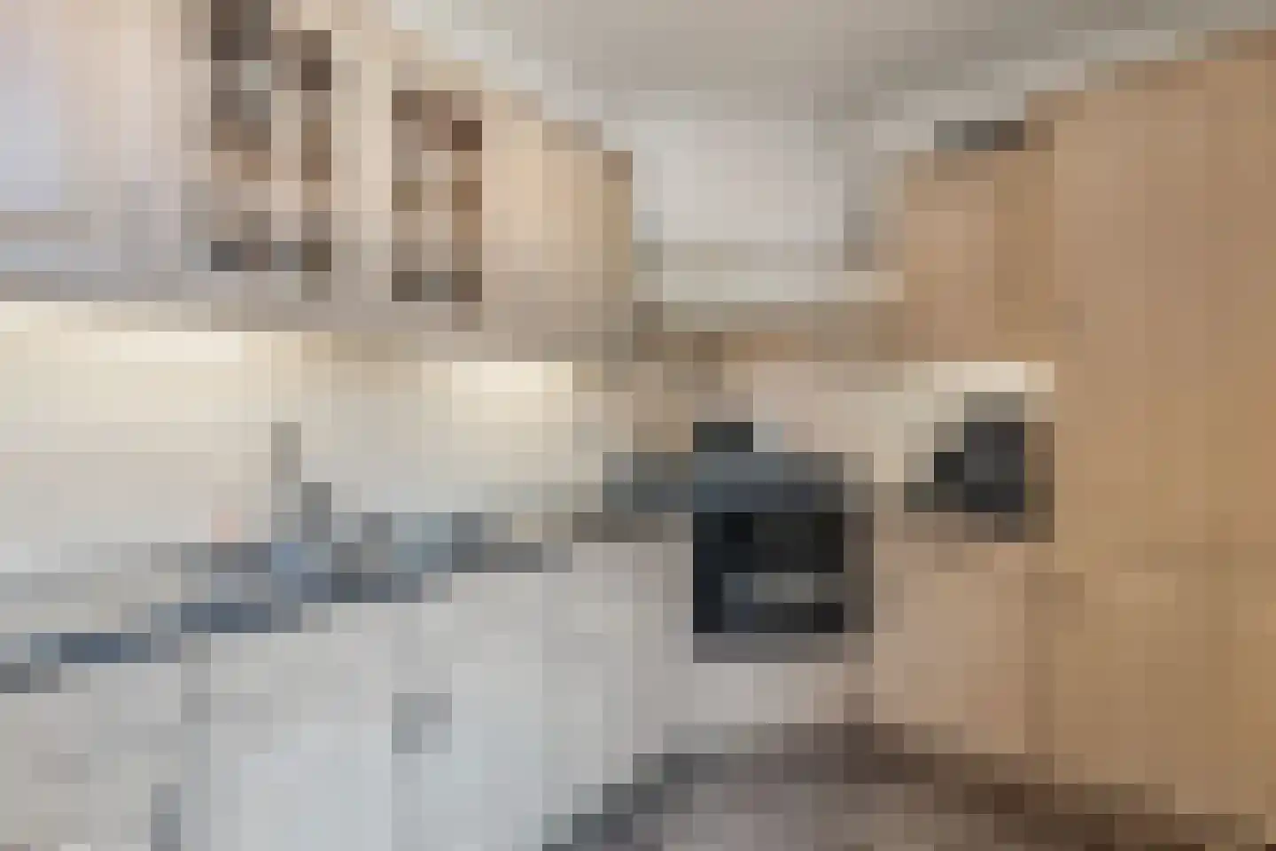 Domela Nieuwenhuisstrjitte 12 Boelenslaan thumbnail 24