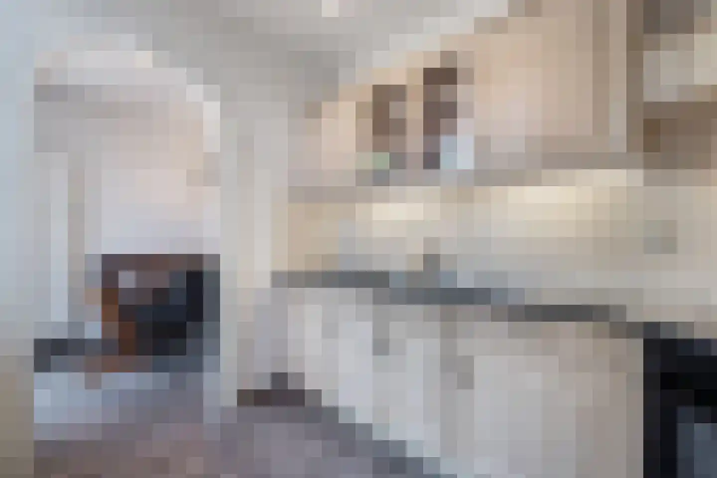 Domela Nieuwenhuisstrjitte 12 Boelenslaan thumbnail 25