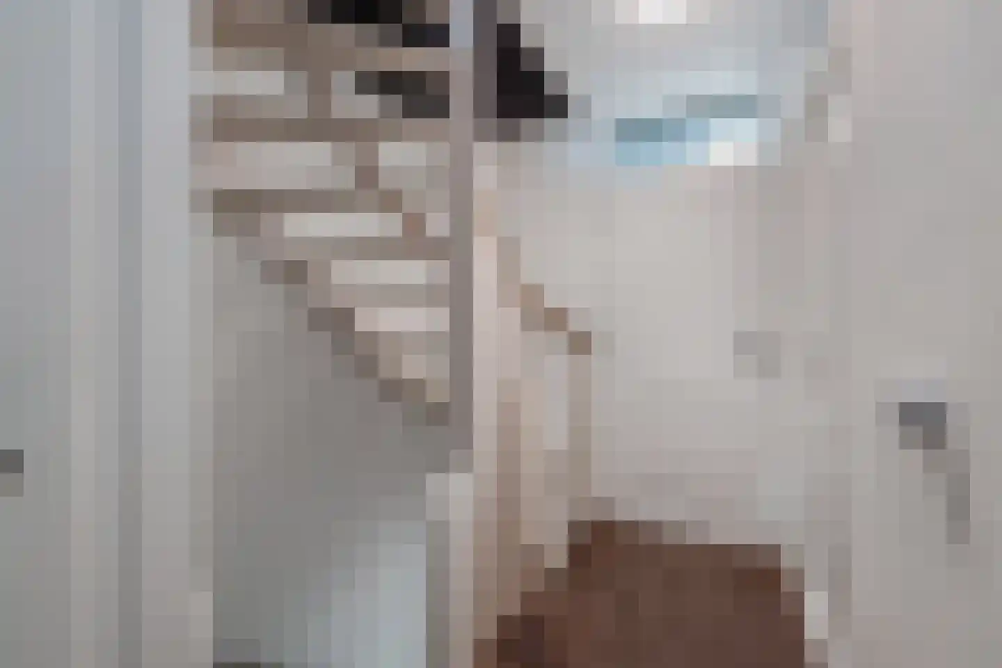 Domela Nieuwenhuisstrjitte 12 Boelenslaan thumbnail 28