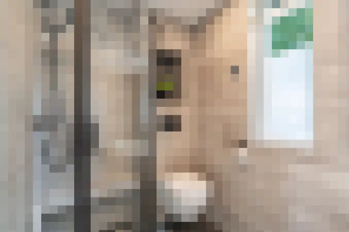 Domela Nieuwenhuisstrjitte 12 Boelenslaan thumbnail 34
