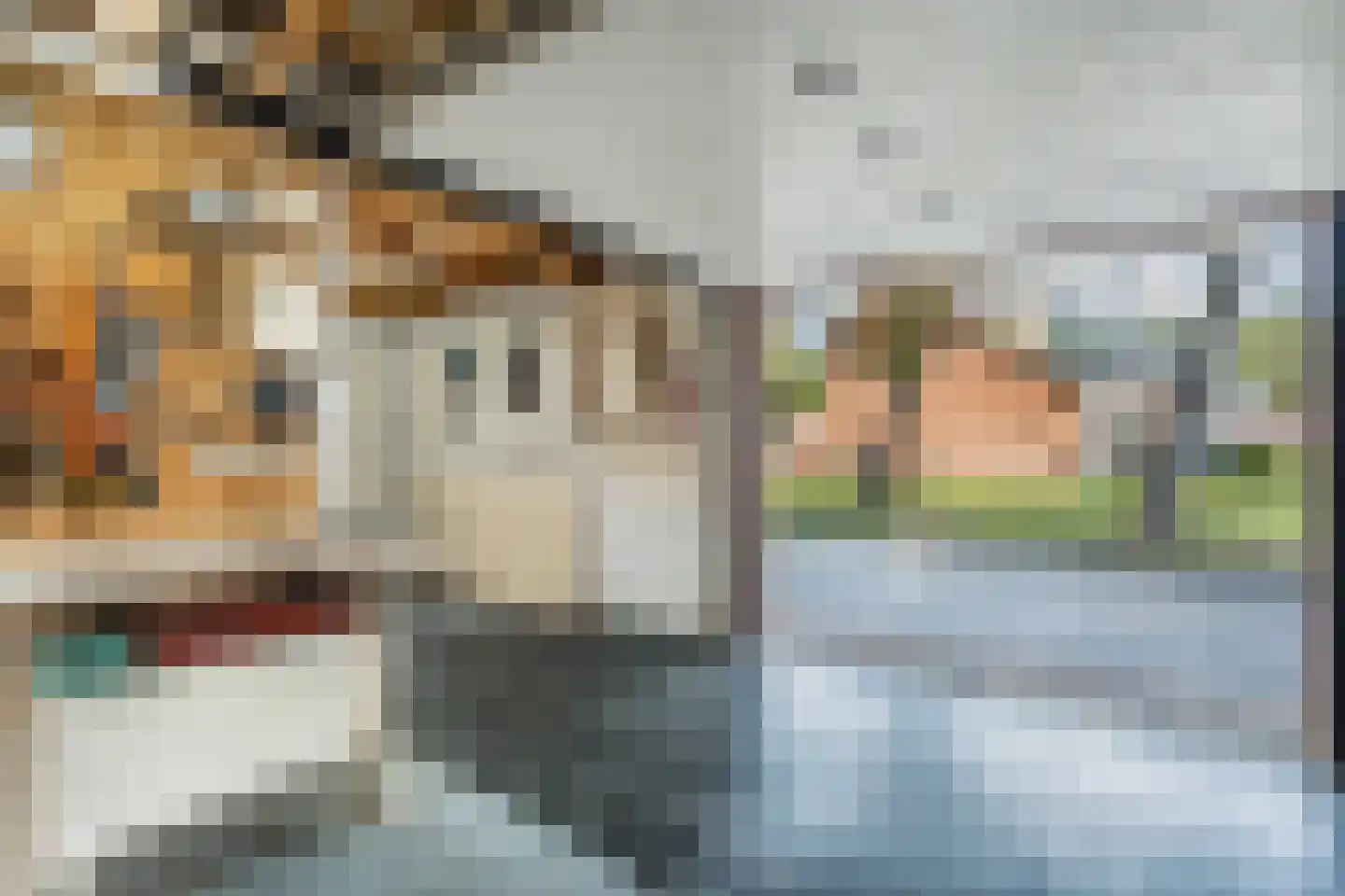 Domela Nieuwenhuisstrjitte 12 Boelenslaan thumbnail 46