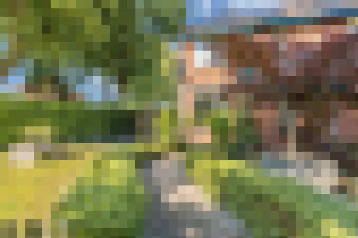 Domela Nieuwenhuisstrjitte 12 Boelenslaan thumbnail 8