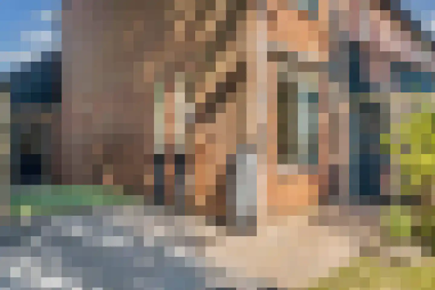 Domela Nieuwenhuisstrjitte 12 Boelenslaan thumbnail 9
