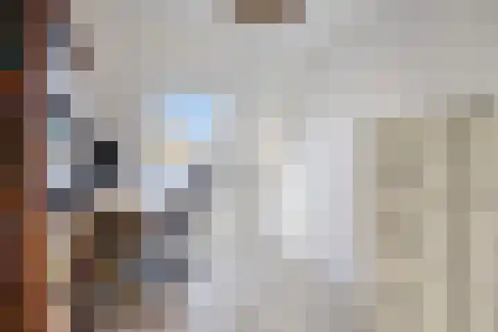 Domela Nieuwenhuisware 13 Zwolle thumbnail 19