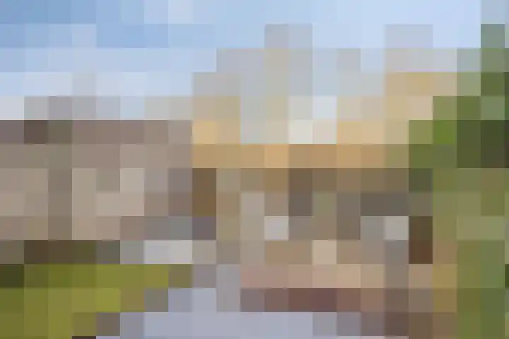 Domela Nieuwenhuisware 13 Zwolle thumbnail 30