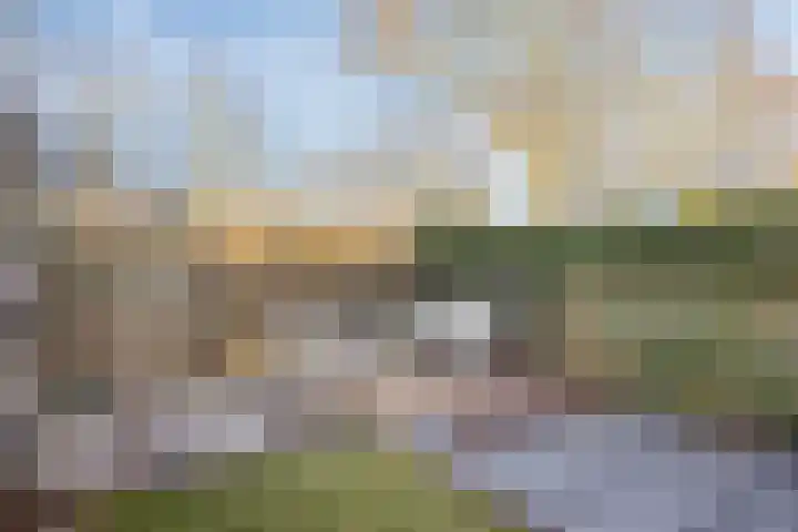 Domela Nieuwenhuisware 13 Zwolle thumbnail 31