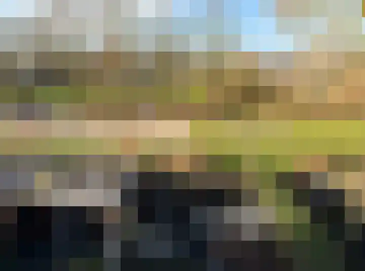 Domela Nieuwenhuisware 13 Zwolle thumbnail 33