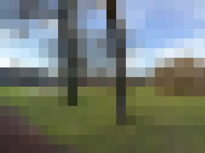 Domela Nieuwenhuisware 13 Zwolle thumbnail 34
