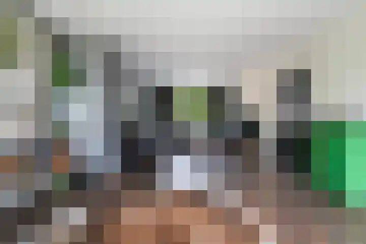 Domela Nieuwenhuisweg 200 Dordrecht thumbnail 11