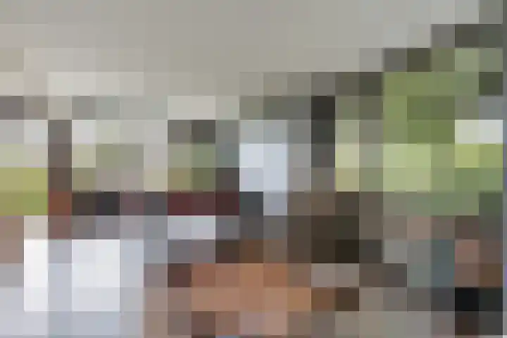 Domela Nieuwenhuisweg 200 Dordrecht thumbnail 13