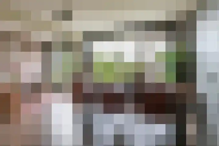 Domela Nieuwenhuisweg 200 Dordrecht thumbnail 14
