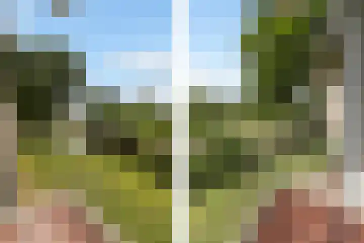 Domela Nieuwenhuisweg 200 Dordrecht thumbnail 19