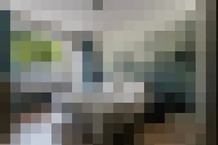 Domela Nieuwenhuisweg 200 Dordrecht thumbnail 23