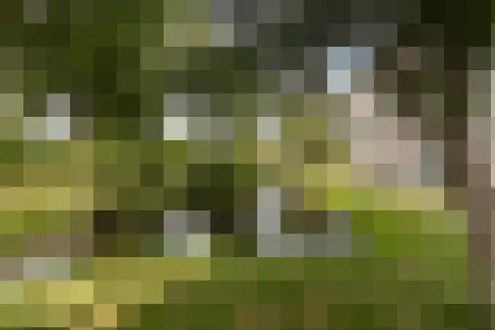 Domela Nieuwenhuisweg 200 Dordrecht thumbnail 26