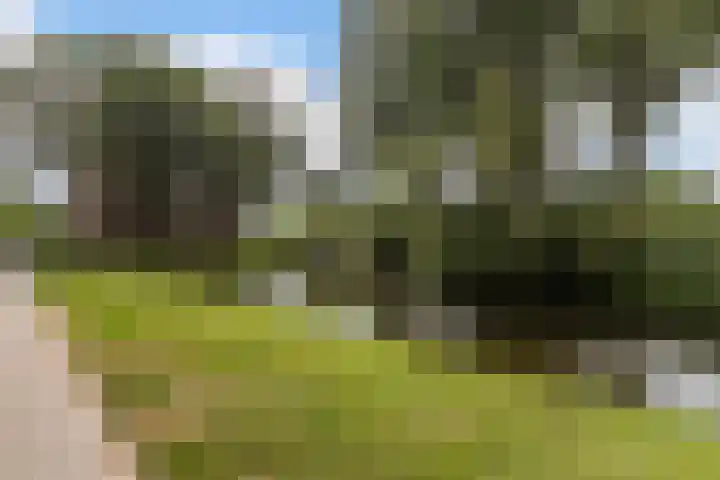 Domela Nieuwenhuisweg 200 Dordrecht thumbnail 27