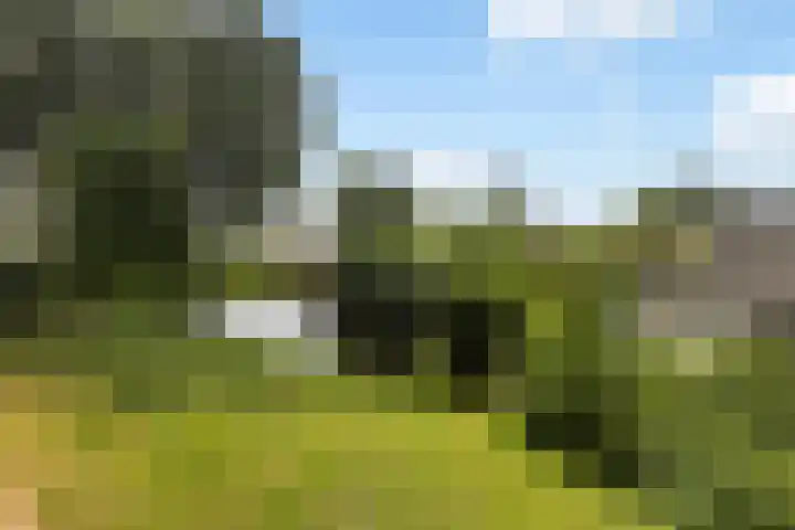 Domela Nieuwenhuisweg 200 Dordrecht thumbnail 5