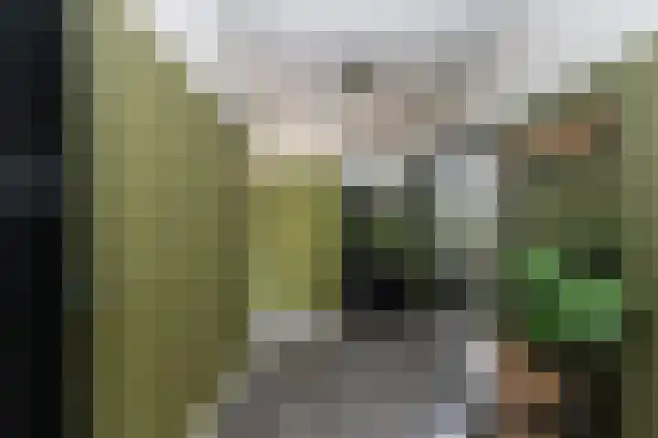 Domela Nieuwenhuisweg 200 Dordrecht thumbnail 9