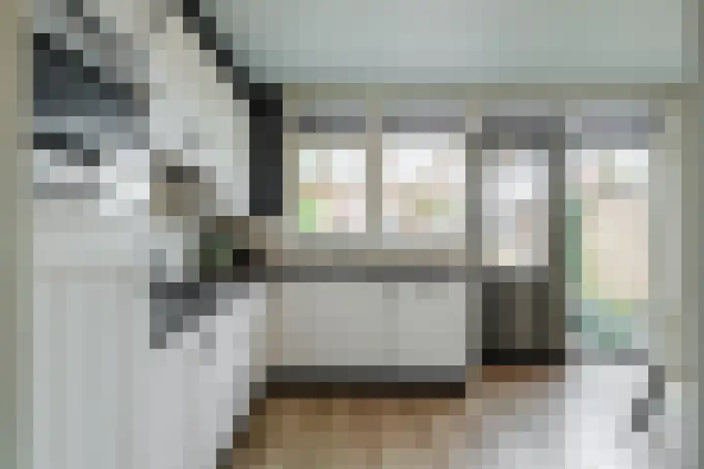 Domela Nieuwenhuisweg 32 Muntendam thumbnail 17