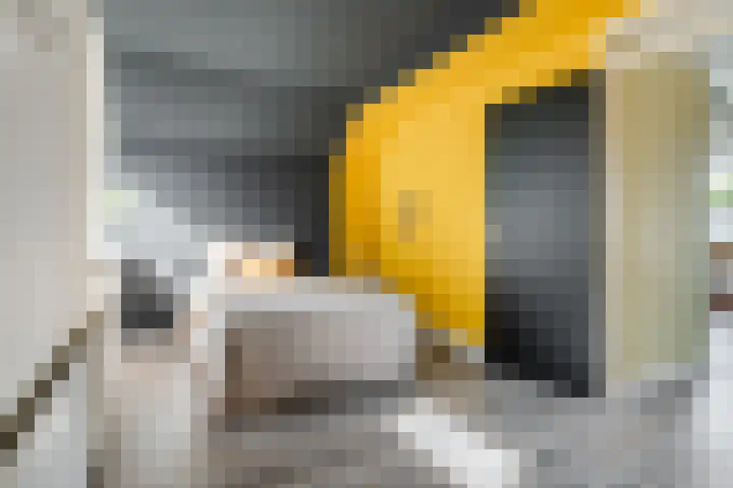 Domela Nieuwenhuisweg 32 Muntendam thumbnail 22