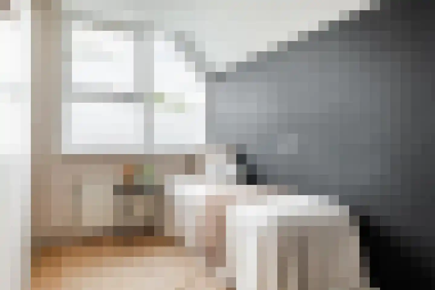 Domela Nieuwenhuisweg 32 Muntendam thumbnail 27