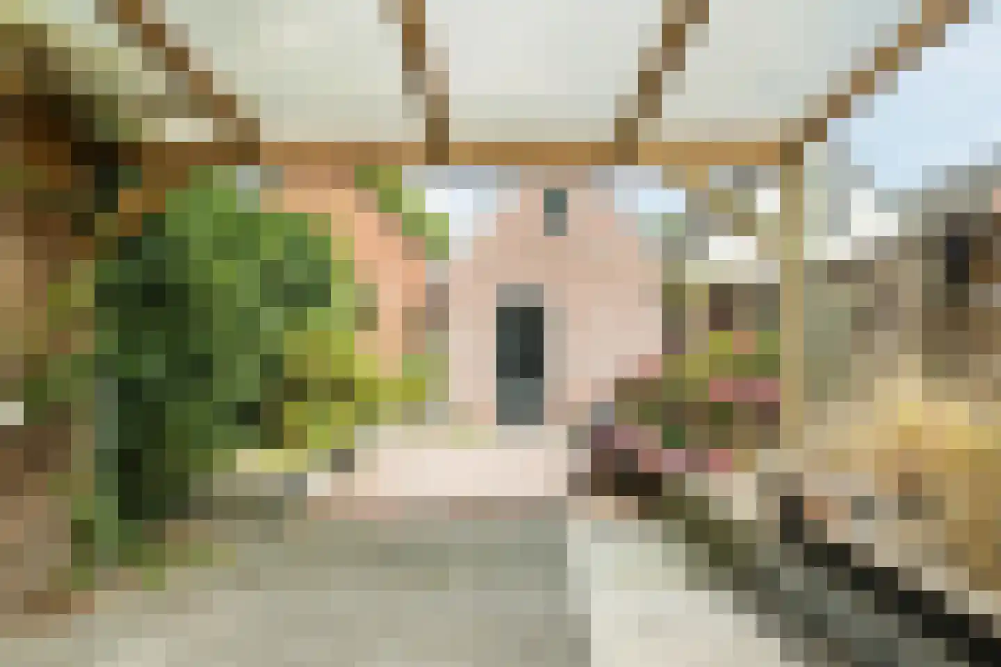 Domela Nieuwenhuisweg 32 Muntendam thumbnail 39