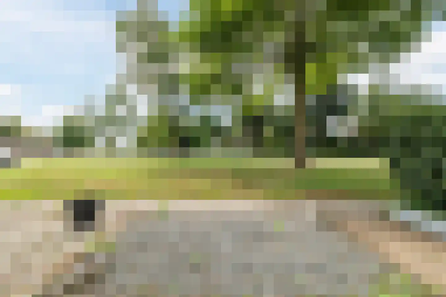 Domela Nieuwenhuisweg 32 Muntendam thumbnail 47