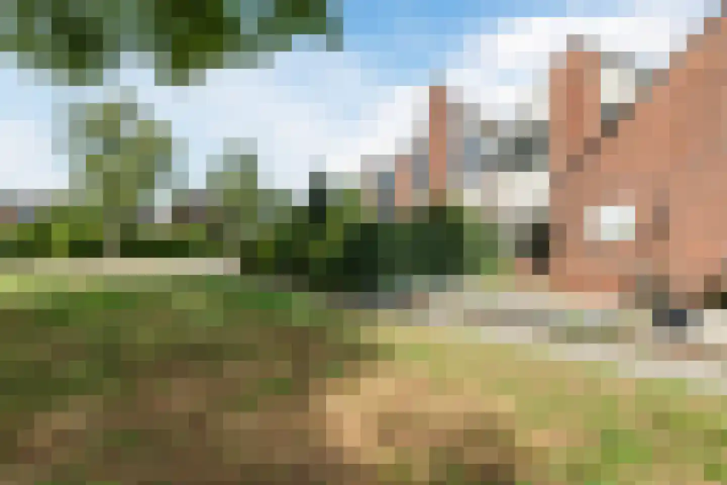 Domela Nieuwenhuisweg 32 Muntendam thumbnail 5