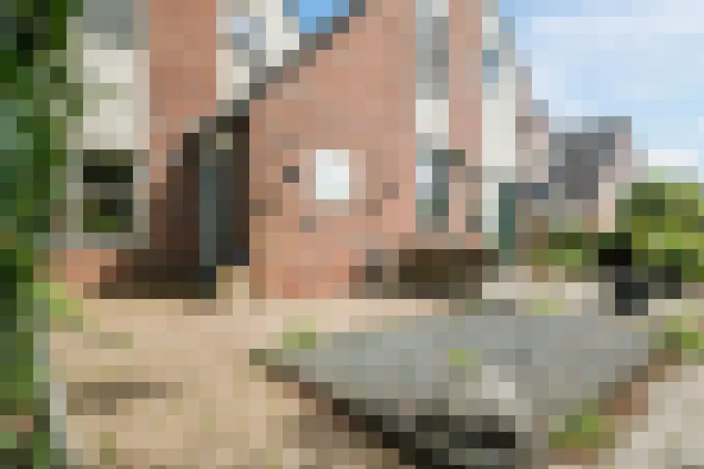 Domela Nieuwenhuisweg 32 Muntendam thumbnail 6