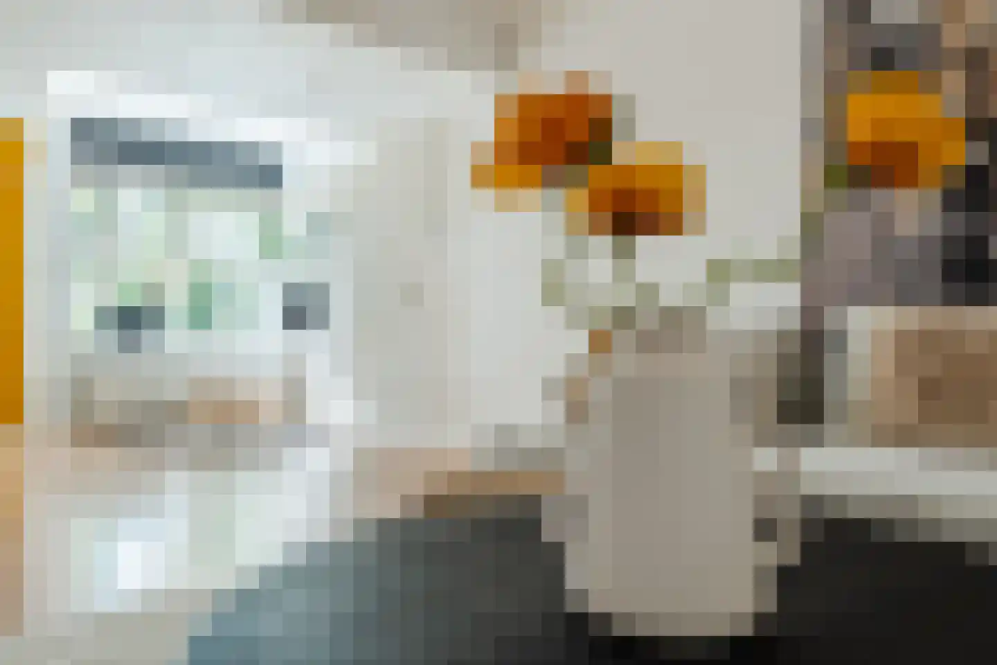 Domela Nieuwenhuisweg 32 Muntendam thumbnail 8