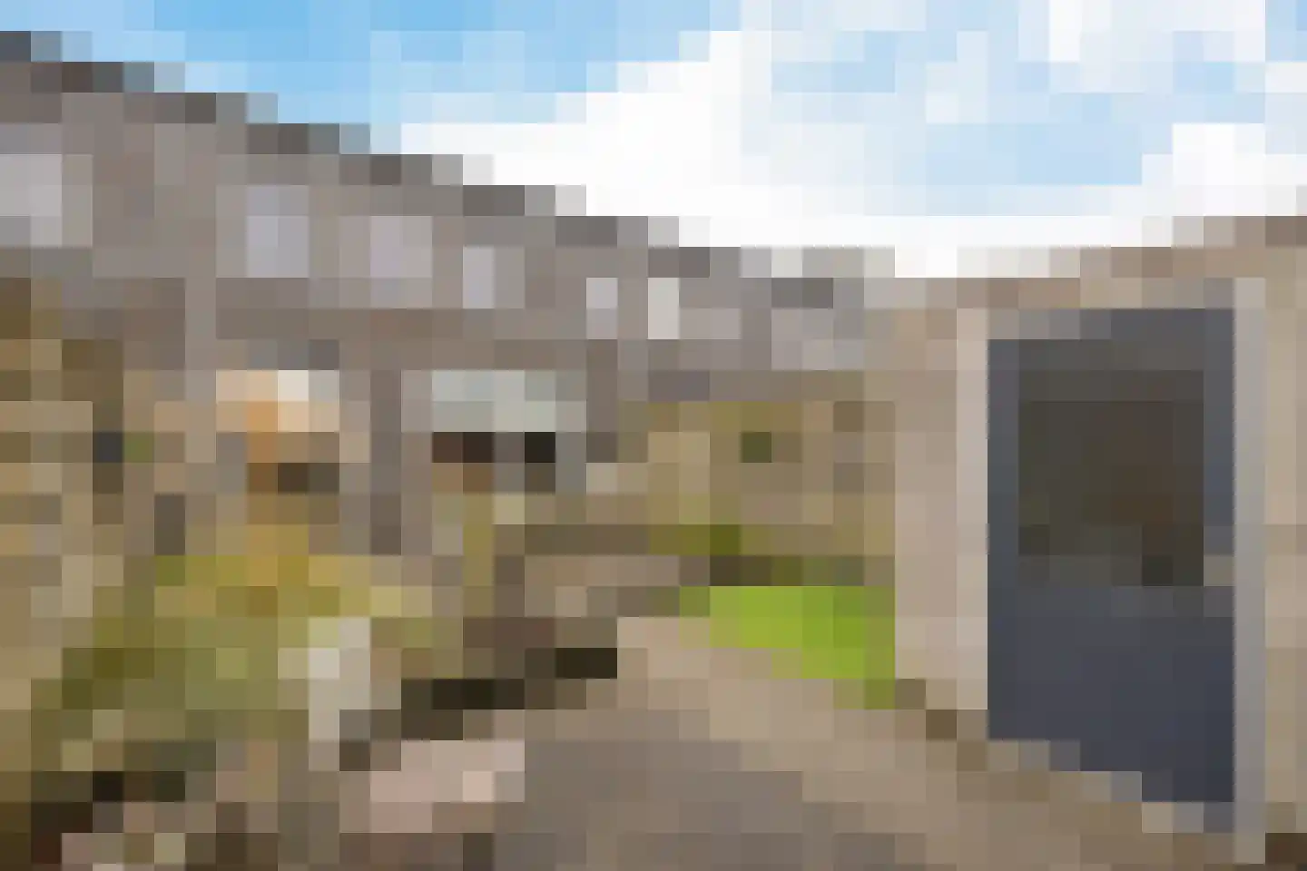 Domela Nieuwenhuisweg 49 Heerenveen thumbnail 22