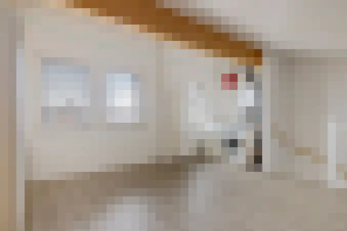 Domela Nieuwenhuisweg 49 Heerenveen thumbnail 37