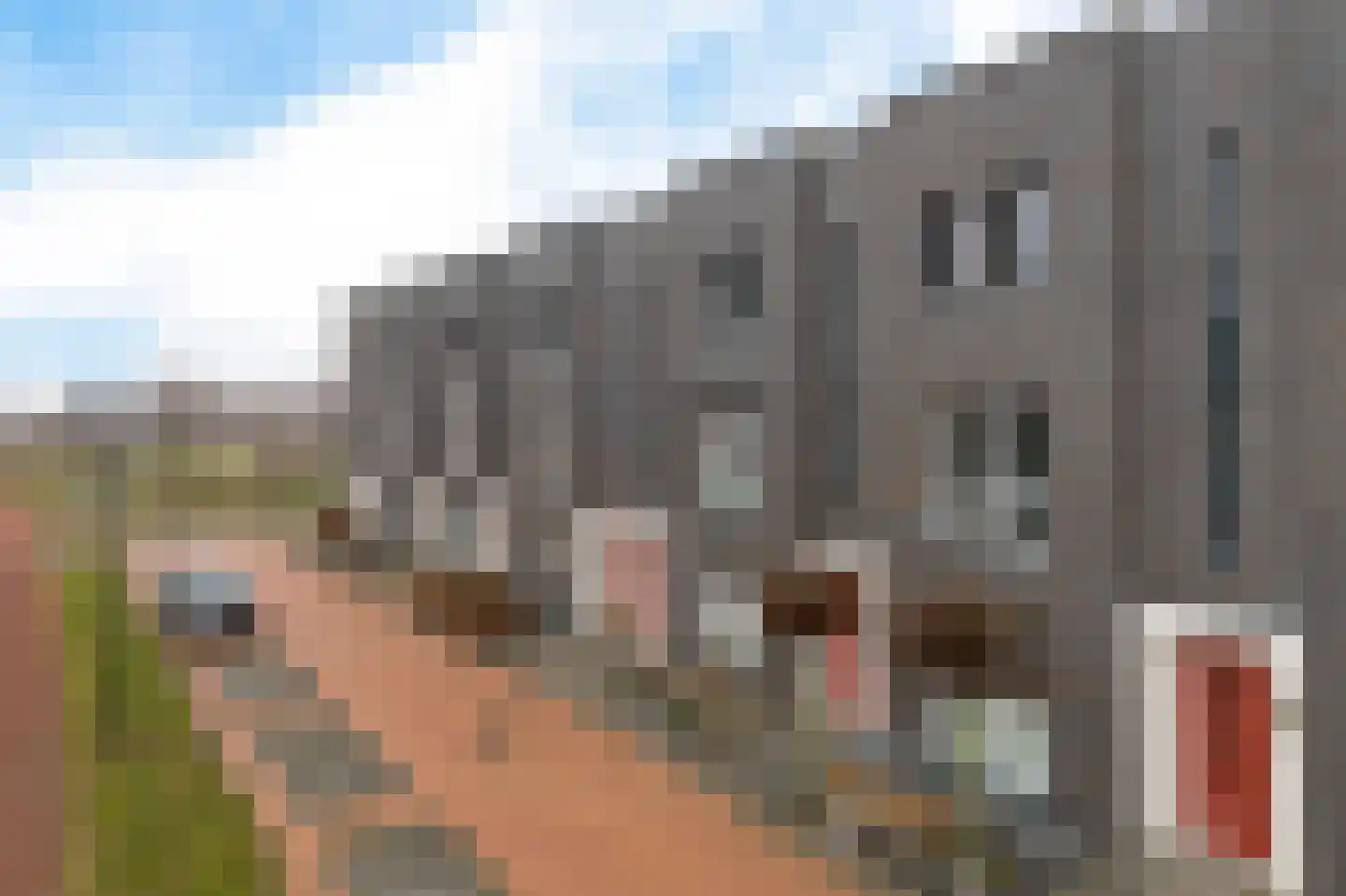 Domela Nieuwenhuisweg 49 Heerenveen thumbnail 39