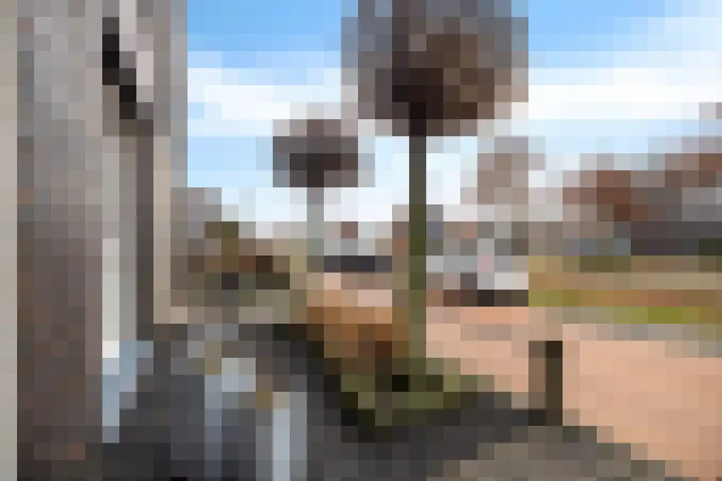 Domela Nieuwenhuisweg 49 Heerenveen thumbnail 4
