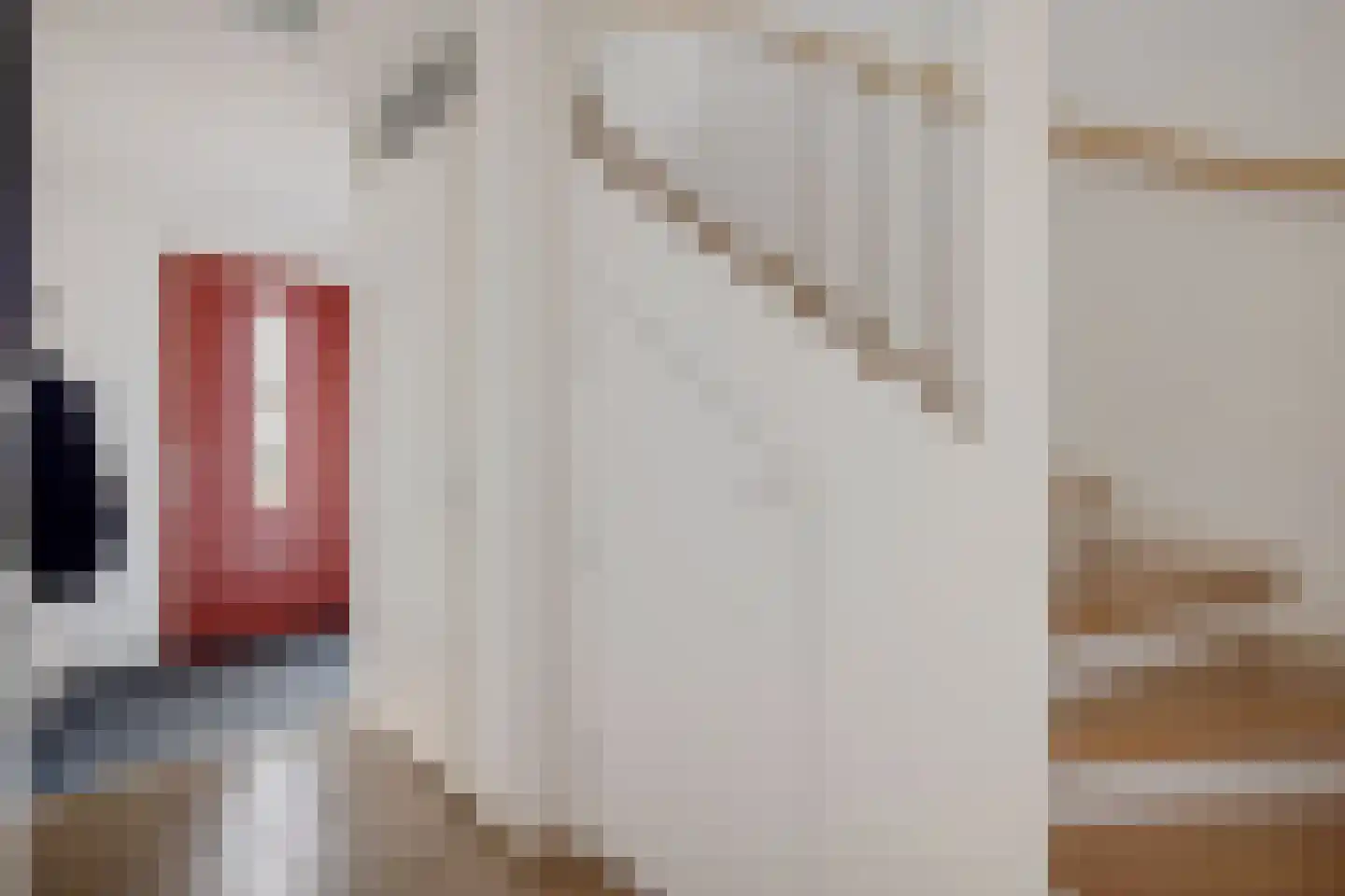 Domela Nieuwenhuisweg 49 Heerenveen thumbnail 5
