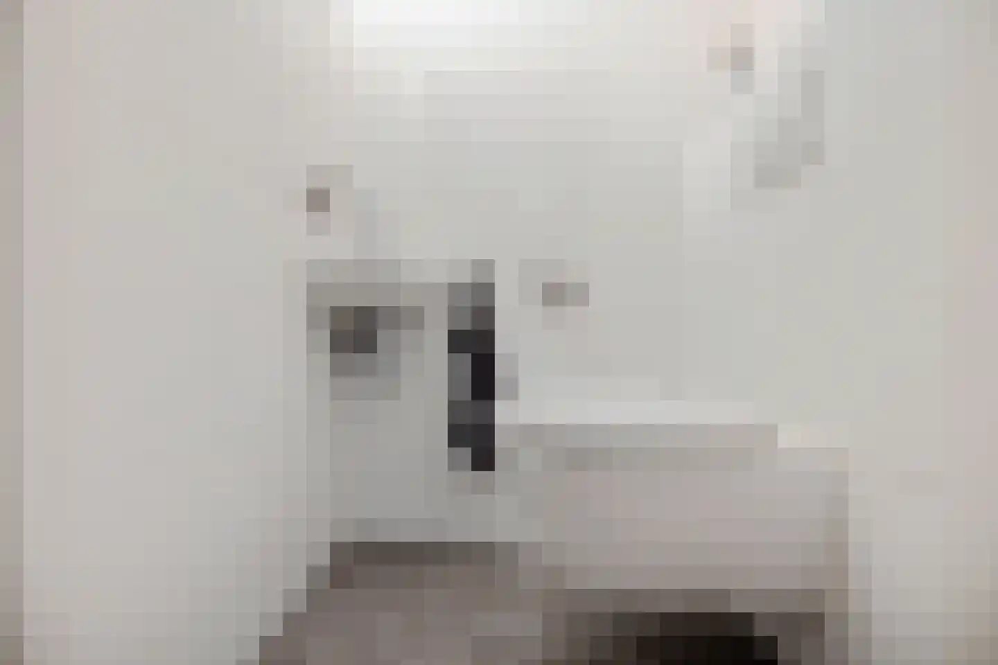 Domela Nieuwenhuisweg 49 Heerenveen thumbnail 6