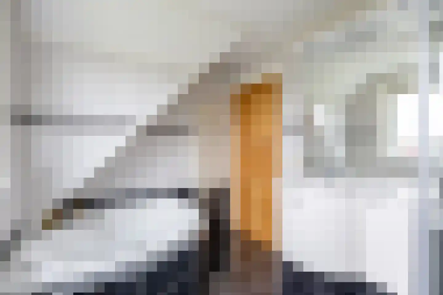 Domies Laand 4 Zandeweer thumbnail 37