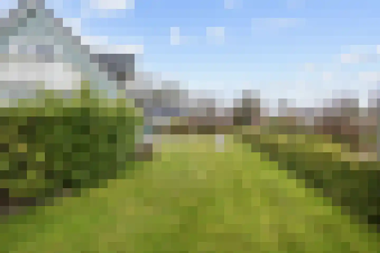 Domies Laand 4 Zandeweer thumbnail 50