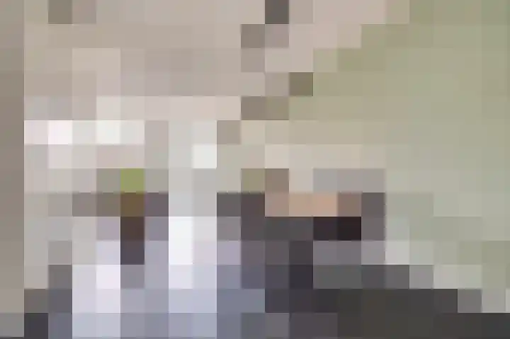 Dominee Bakkerushof 32 Hedel thumbnail 11