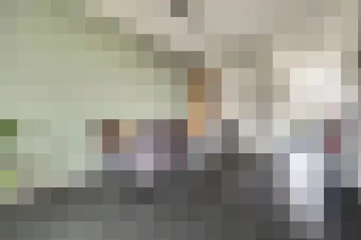 Dominee Bakkerushof 32 Hedel thumbnail 13