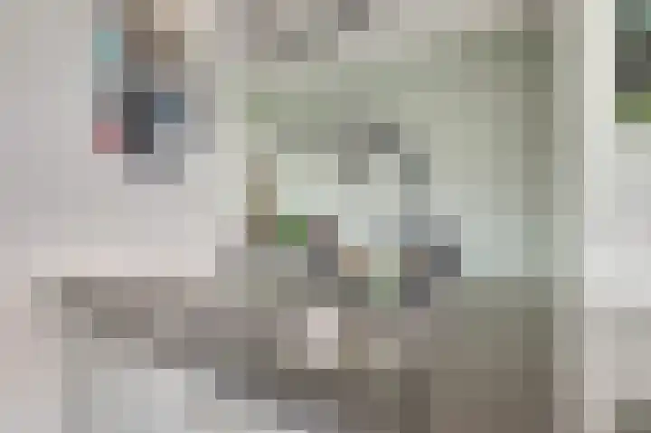 Dominee Bakkerushof 32 Hedel thumbnail 16