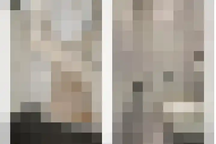 Dominee Bakkerushof 32 Hedel thumbnail 20