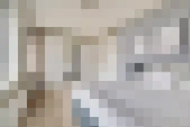 Dominee Bakkerushof 32 Hedel thumbnail 25