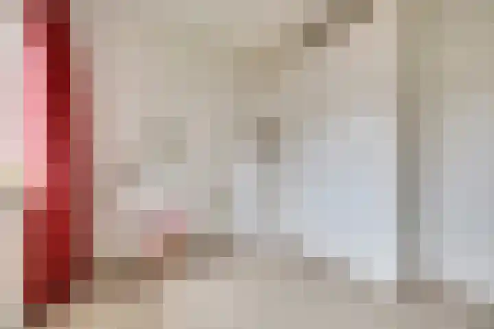 Dominee Bakkerushof 32 Hedel thumbnail 31