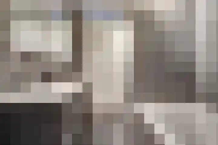 Dominee Bakkerushof 32 Hedel thumbnail 33