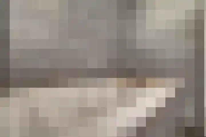Dominee Bakkerushof 32 Hedel thumbnail 34