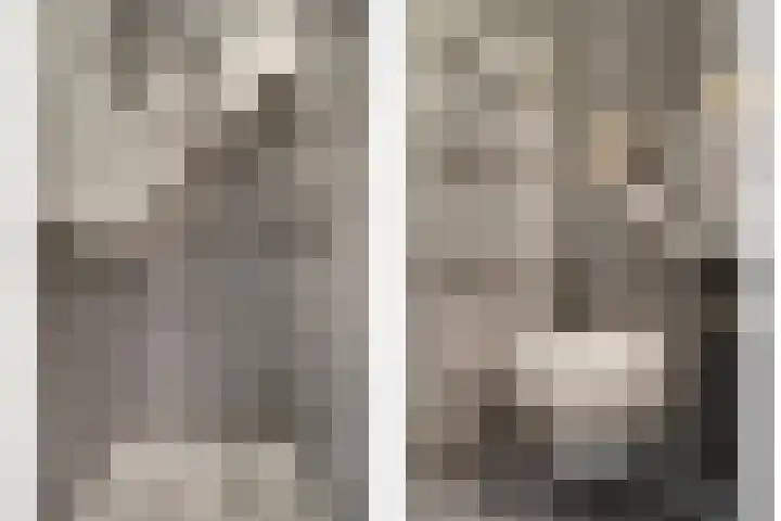 Dominee Bakkerushof 32 Hedel thumbnail 35