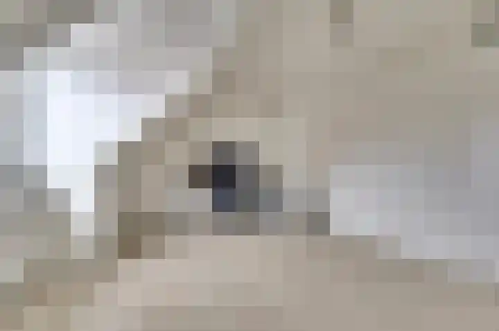 Dominee Bakkerushof 32 Hedel thumbnail 36