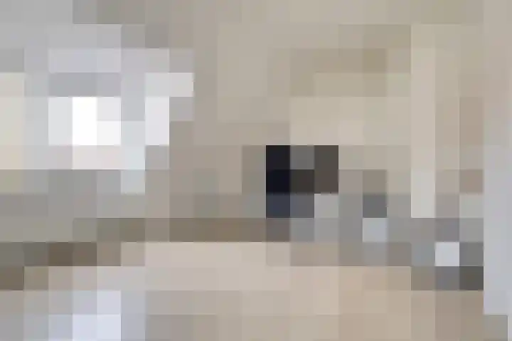 Dominee Bakkerushof 32 Hedel thumbnail 37