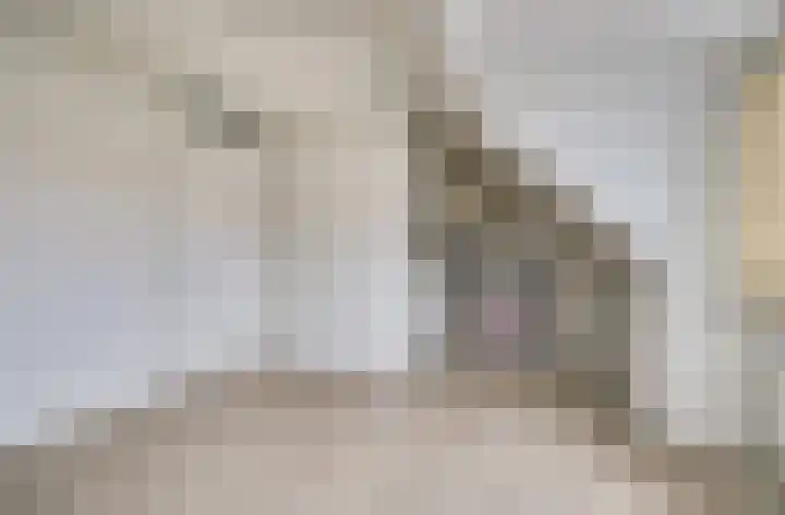 Dominee Bakkerushof 32 Hedel thumbnail 38